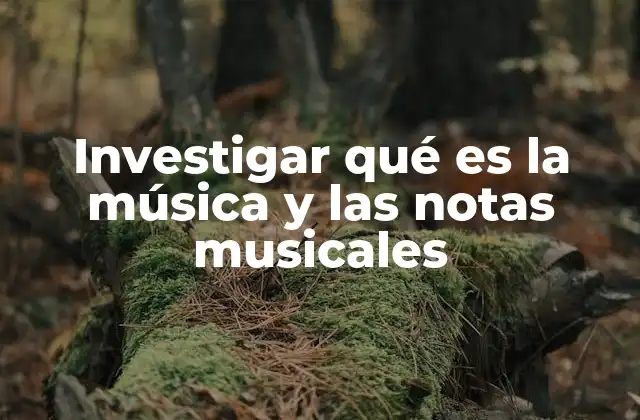 Investigar Qué es la Música y las Notas Musicales