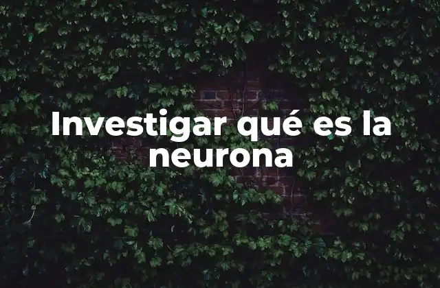 Investigar Qué es la Neurona