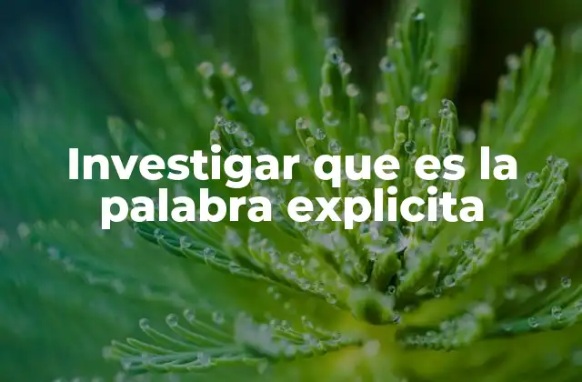 Investigar que es la Palabra Explicita