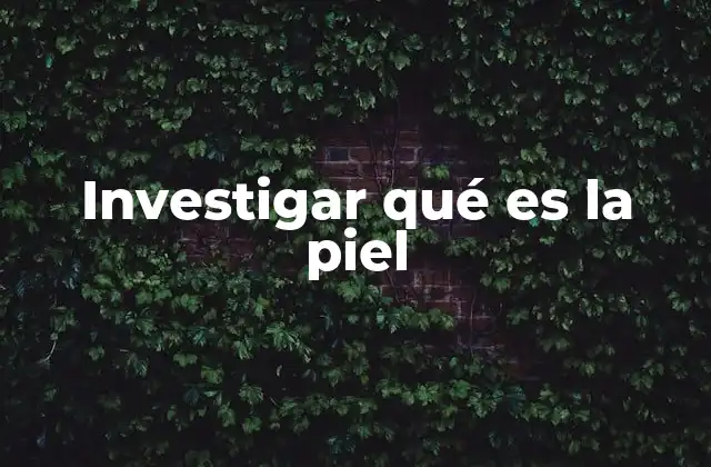 Investigar Qué es la Piel