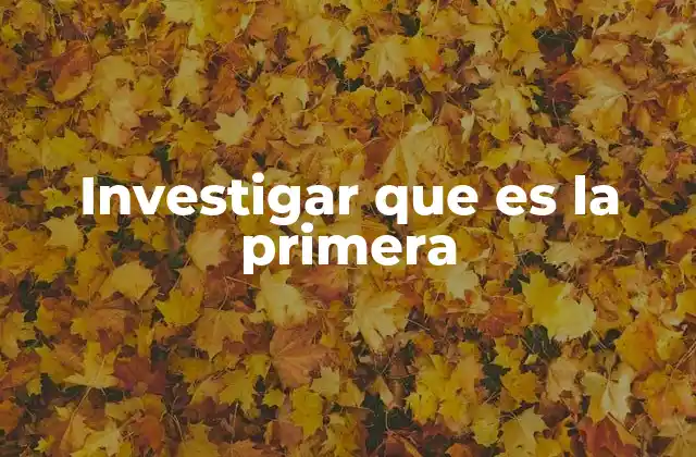 Investigar que es la Primera