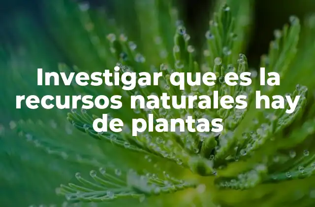 Investigar que es la Recursos Naturales Hay de Plantas