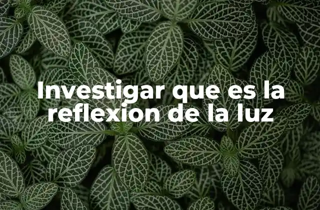 Cómo ocurre la reflexión de la luz
