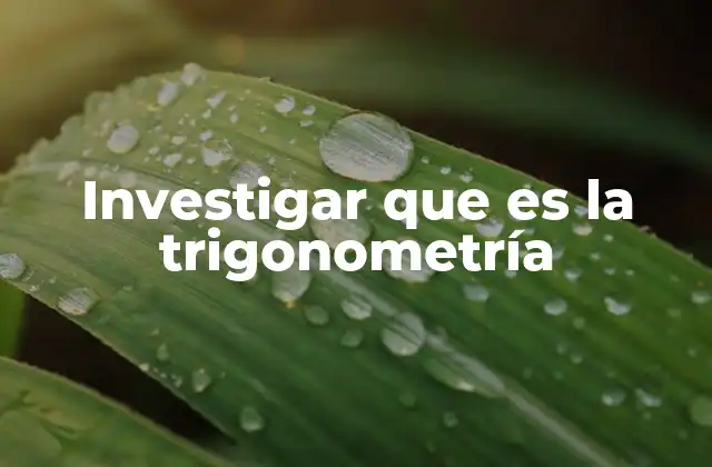 Investigar que es la Trigonometría