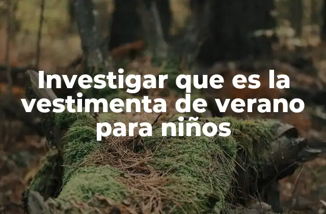 Investigar que es la Vestimenta de Verano para Niños