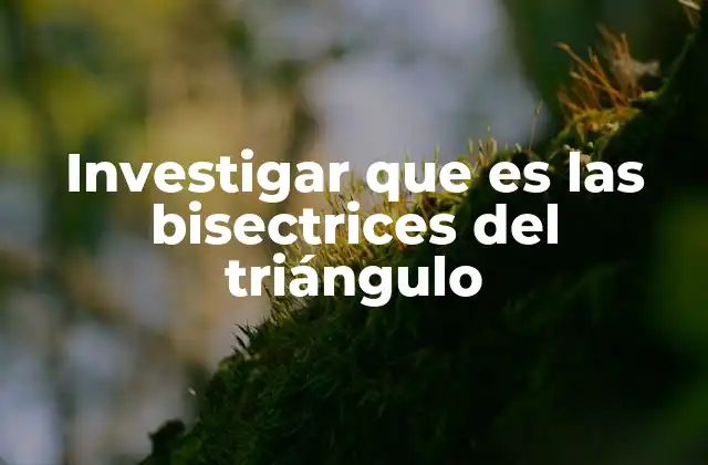 Investigar que es las Bisectrices Del Triángulo