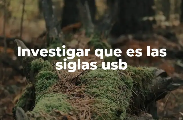 Investigar que es las Siglas Usb