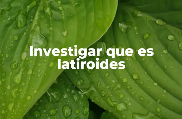 Investigar que es Latiroides