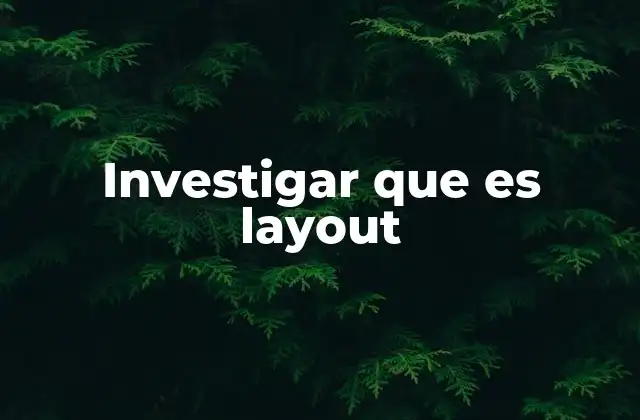 Investigar que es Layout