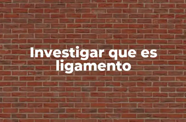 Investigar que es Ligamento