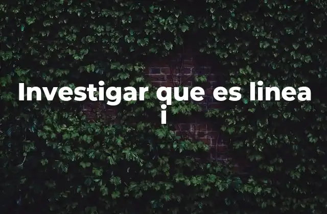 Investigar que es Linea I