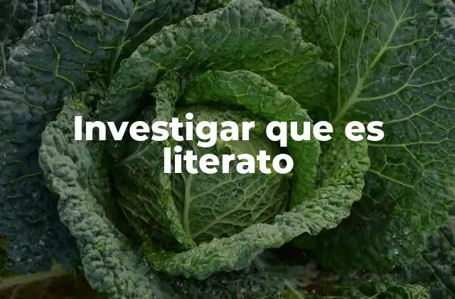 Investigar que es Literato 2 El rol del literato en la sociedad