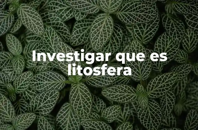 Investigar que es Litosfera