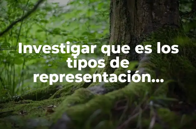 Investigar que es los Tipos de Representación Geográfica