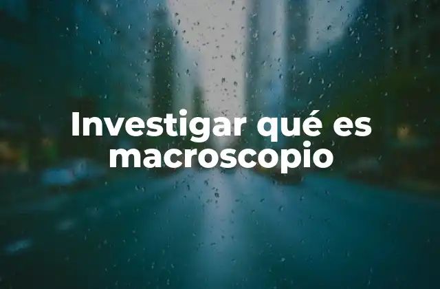 Investigar Qué es Macroscopio