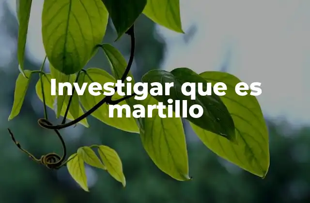 Investigar que es Martillo