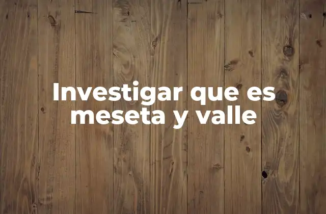 Investigar que es Meseta y Valle