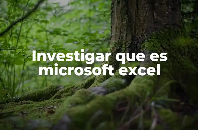 Investigar que es Microsoft Excel