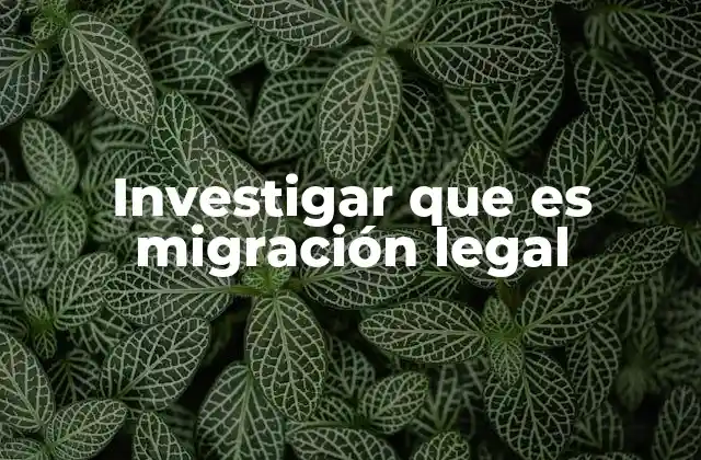 Investigar que es Migración Legal