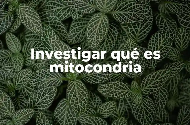 Investigar Qué es Mitocondria