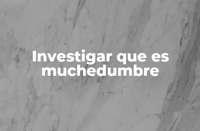 Investigar que es Muchedumbre