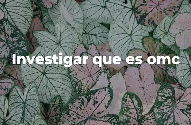 Investigar que es Omc