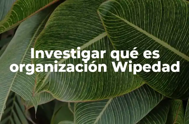 Investigar Qué es Organización Wipedad