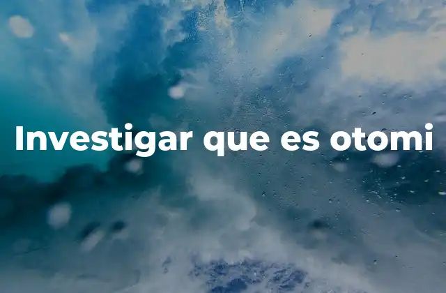 Investigar que es Otomi