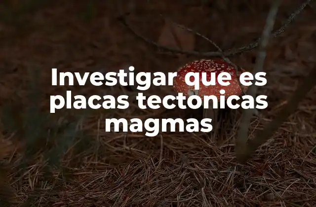 Investigar que es Placas Tectonicas Magmas