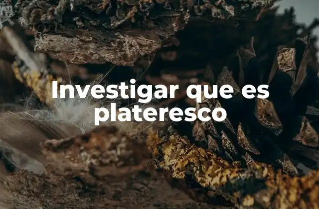 Investigar que es Plateresco