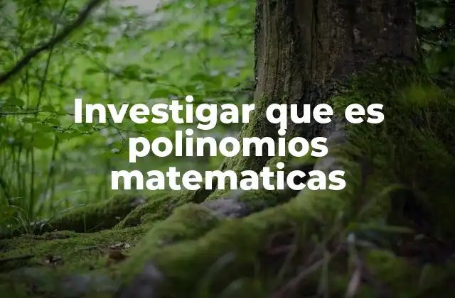 Investigar que es Polinomios Matematicas