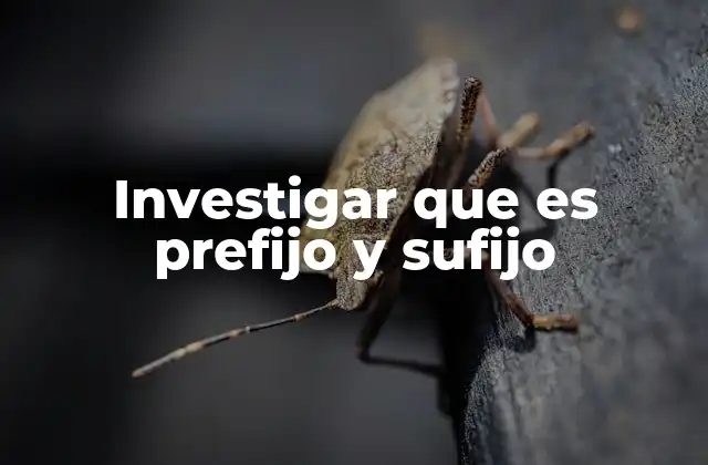 Investigar que es Prefijo y Sufijo
