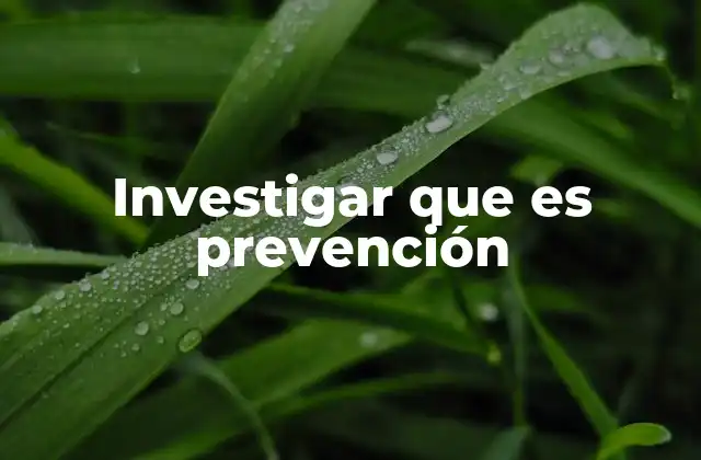 Investigar que es Prevención