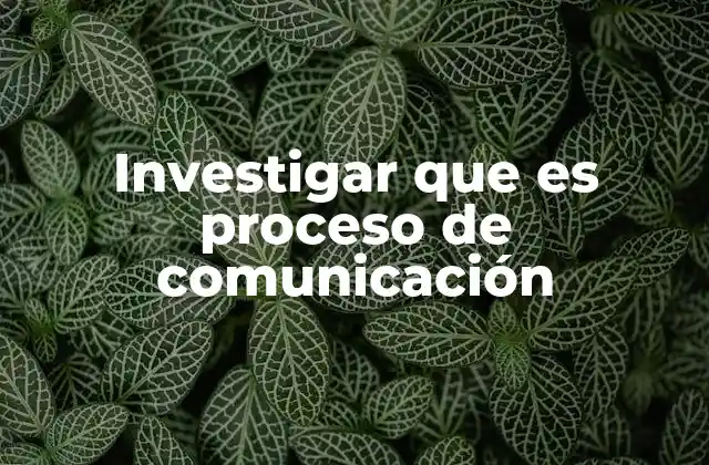 Investigar que es Proceso de Comunicación