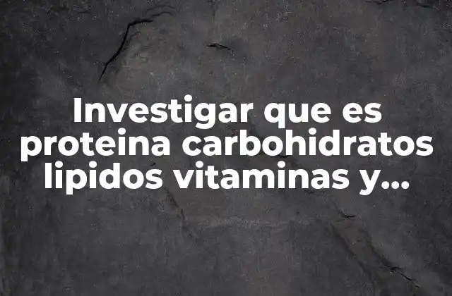 Investigar que es Proteina Carbohidratos Lipidos Vitaminas y Minerales