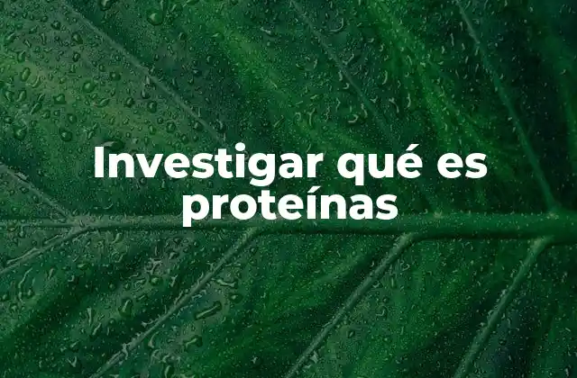 Investigar Qué es Proteínas