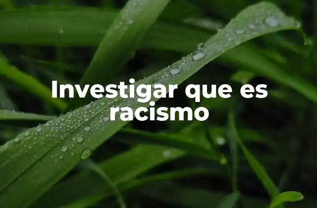 Investigar que es Racismo 2 El racismo en la sociedad contemporánea
