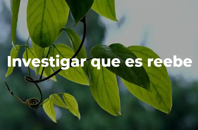 Investigar que es Reebe