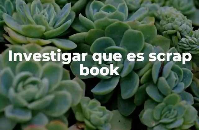Investigar que es Scrap Book
