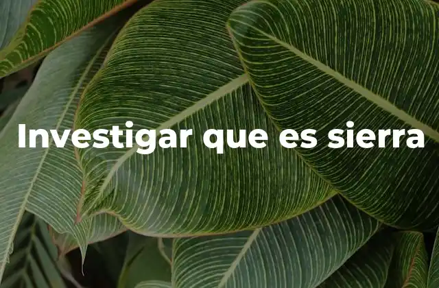 Investigar que es Sierra