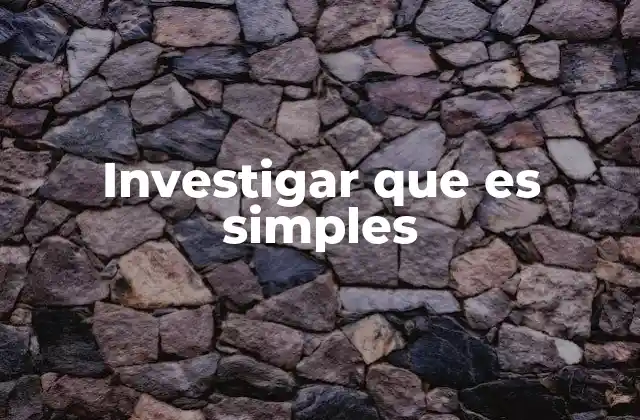 Investigar que es Simples