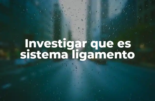 Investigar que es Sistema Ligamento