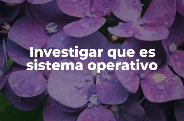Investigar que es Sistema Operativo