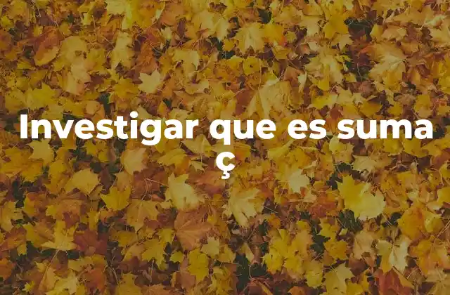 Investigar que es Suma Ç