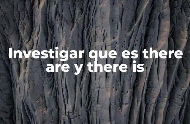 Investigar que es There Are y There Is