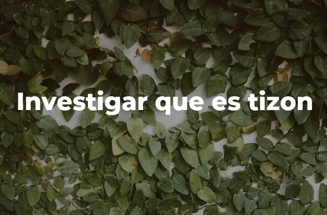 Investigar que es Tizon