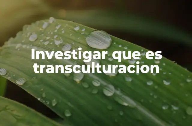 Investigar que es Transculturacion