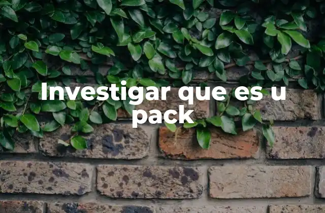 Investigar que es u Pack 2 Características principales de los u pack