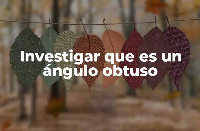 La importancia de los ángulos en geometría