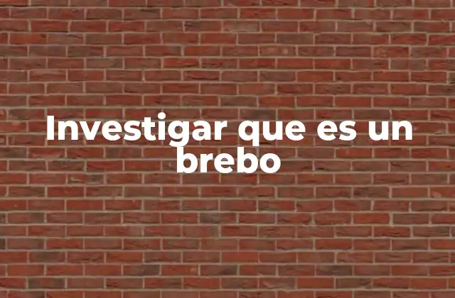 Investigar que es un Brebo